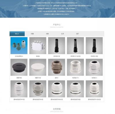 卓巨電子科技 上海高端網(wǎng)站建設(shè)與品牌設(shè)計(jì)案例解析