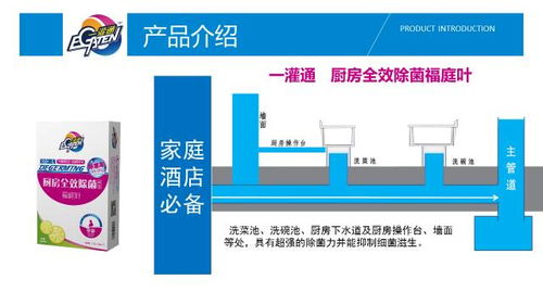 功能原理與技術支持 揭秘一灌通廚衛管道深層清潔產品的數據處理與存儲服務